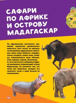 Моя первая большая книга о животных фото книги 8