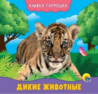Книжка-гармошка. Дикие животные фото книги