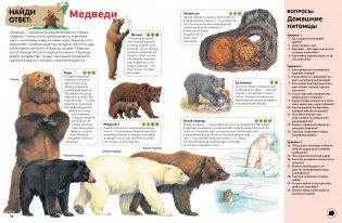 Интерактивная энциклопедия для школьников фото книги 3