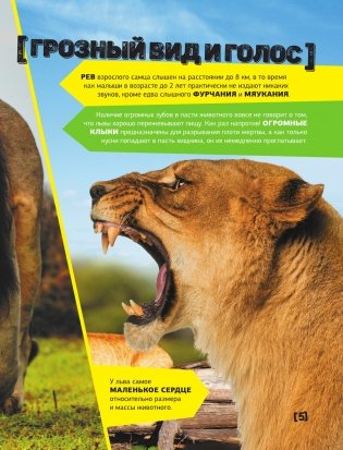 Большая энциклопедия о животных. 500 фотографий и фактов фото книги 4