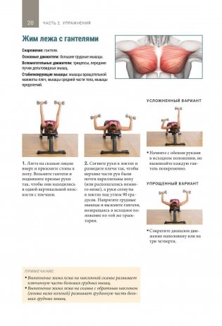 Анатомия тренировок со свободными отягощениями фото книги 9