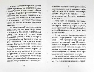 Духом Святым окрылённый. Преподобный Гавриил (Ургебадзе) фото книги 5