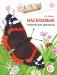 Насекомые. Графические диктанты детям 6-7 лет. ФГОС фото книги маленькое 2