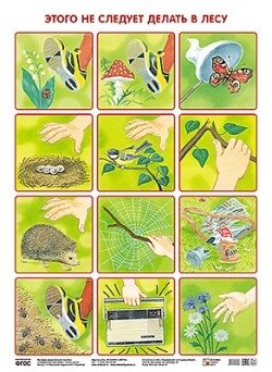 Этого не следует делать в лесу. Плакат фото книги