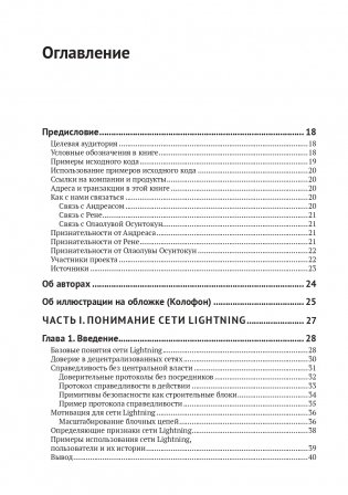 Освоение Lightning Network фото книги 2