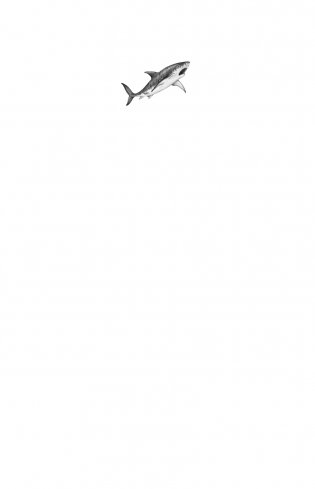 Тайна кита-оборотня (#4) фото книги 2