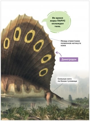 Динозавры. Первая энциклопедия малыша фото книги 5