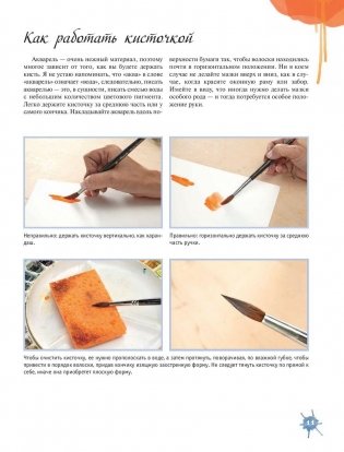 Акварельные животные фото книги 10