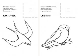 Раскраска с наклейками. Птицы фото книги 2