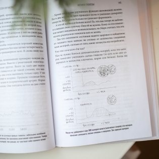 Богиня глюкозы. Нормализуйте уровень сахара в крови, чтобы изменить свою жизнь фото книги 3