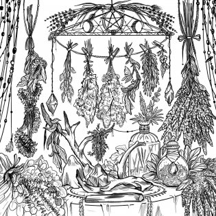 Green Witch`s Coloring Book фото книги 5