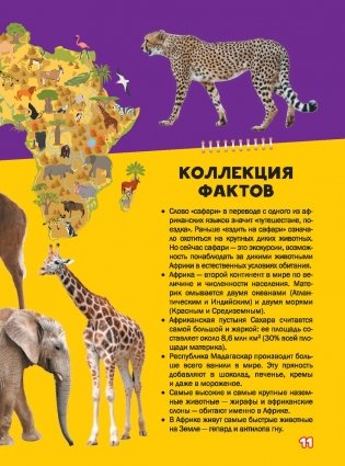 Моя первая большая книга о животных фото книги 7