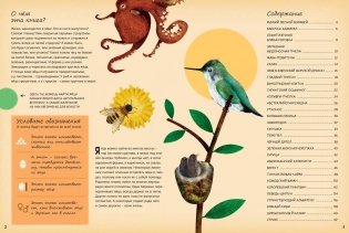 Кто появляется на свет из яйца? фото книги 2