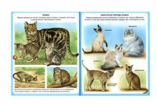 Животные фото книги 2