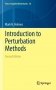 Introduction to Perturbation Methods фото книги маленькое 2