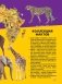 Моя первая большая книга о животных фото книги маленькое 8