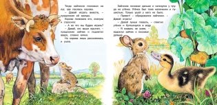 Приключения зайчонка фото книги 3