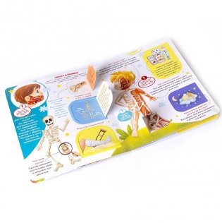 Как устроен человек? Книжка с окошками фото книги 2