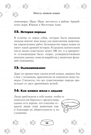 Научись думать как кошка. 501 совет по уходу и воспитанию фото книги 13