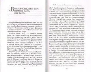 Уроки из деяний и словес Господа Бога и Спаса нашего Иисуса Христа фото книги 2