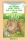 Упражнения, игры, тексты для автоматизации звуков. Шипящие звуки и звук [ч]. С 5 до 7лет. ФГОС фото книги маленькое 2