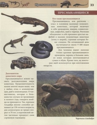 Энциклопедия. Живая природа фото книги 6
