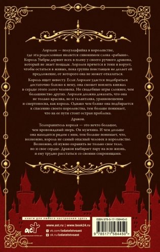 Пламенное сердце фото книги 2