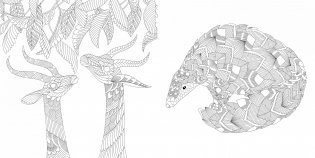 Божественные создания. Золотая коллекция любимых иллюстраций фото книги 6