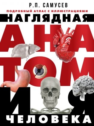 Наглядная анатомия человека. Подробный атлас с иллюстрациями фото книги