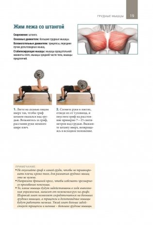 Анатомия тренировок со свободными отягощениями фото книги 8