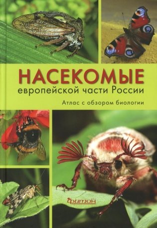 Насекомые средней полосы России. Атлас с обзором биологии. 2-е изд., перераб.и доп фото книги