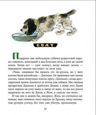 Берестяная трубочка фото книги 4