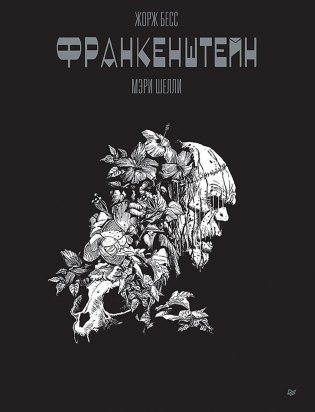 Франкенштейн Мэри Шелли: графический роман фото книги