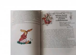 Книга про кролика Питера и госпожу крольчиху фото книги 4