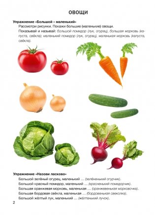 Развитие речи: лексика и грамматика. Часть 1 фото книги 11