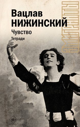 Чувство. Тетради фото книги
