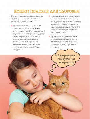 Кошки. Полное руководство для детей фото книги 11