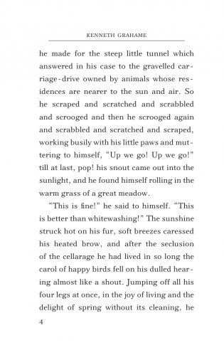 The Wind in the Willows фото книги 5