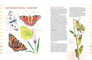 Животные в городе. Где найти и как узнать фото книги 6