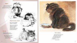 Полное собрание котов фото книги 4