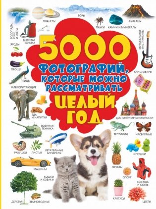 5000 фотографий, которые можно рассматривать целый год фото книги