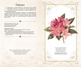 Тайный язык цветов фото книги 6