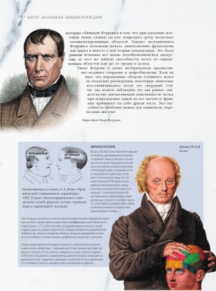 Мозг. Большая энциклопедия фото книги 13