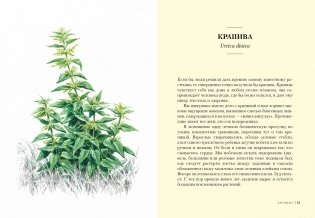 Травы. Природный источник жизненной силы фото книги 5