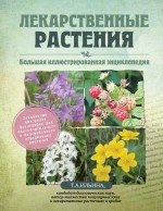Лекарственные растения. Большая иллюстрированная энциклопедия фото книги