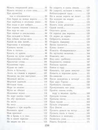 Великий могучий русский язык фото книги 3