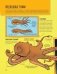 Энциклопедия животных: на суше, под водой и в воздухе фото книги маленькое 10