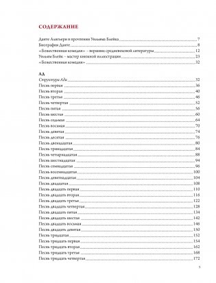 Божественная Комедия фото книги 3