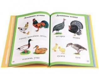 Моя первая книга фото книги 3