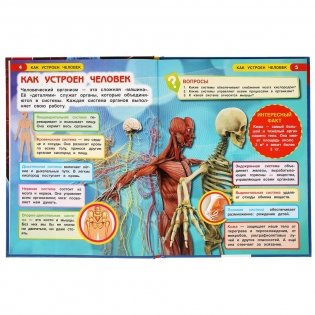 Как устроен человек. Энциклопедия с развивающими заданиями фото книги 3